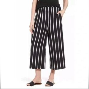 Eileen Fisher Size Medium Petite Cropped Wide Leg Pull On Pants